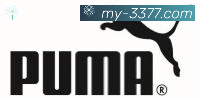 3377体育合作伙伴